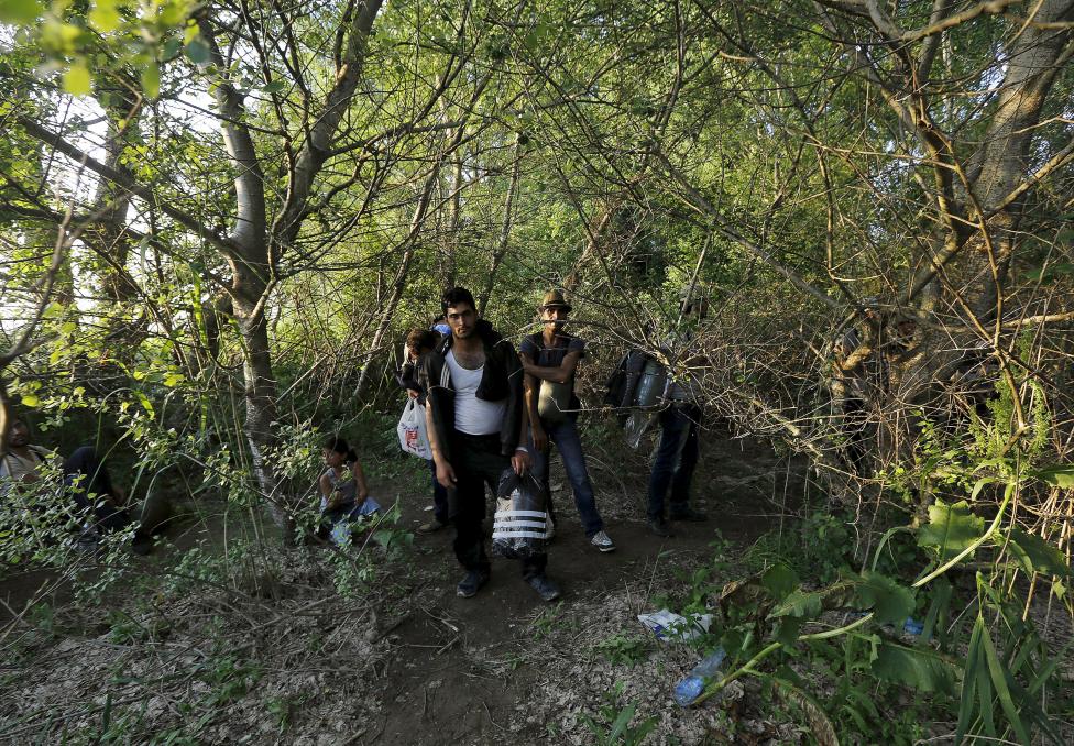 A group of Syrian immigrants hide as they walk towards Greece's border with Macedonia in Kilkis prefecture, May 14, 2015. REUTERS/Yannis Behrakis