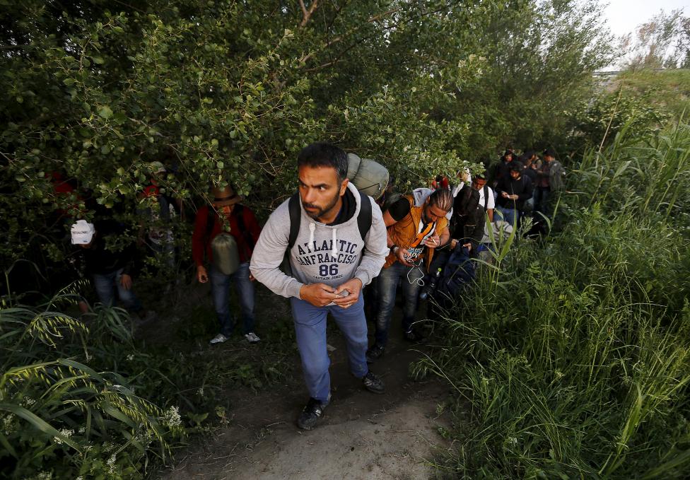 A group of Syrian immigrants hide as they walk towards Greece's border with Macedonia in Kilkis prefecture, May 14, 2015. REUTERS/Yannis Behrakis