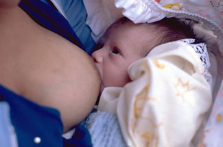 breastfeeding_fact01