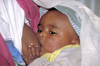 breastfeeding_fact02