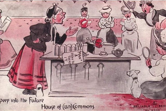 vintage woman suffragette poster (7)